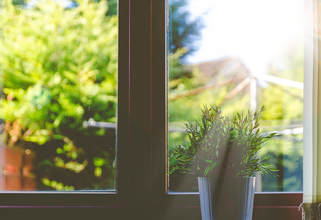 tint your home windows purga